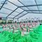 Sitzer-Tätigkeiten modernes großes des Hochzeits-Zelt-im Freien Aluminiumschutz-300